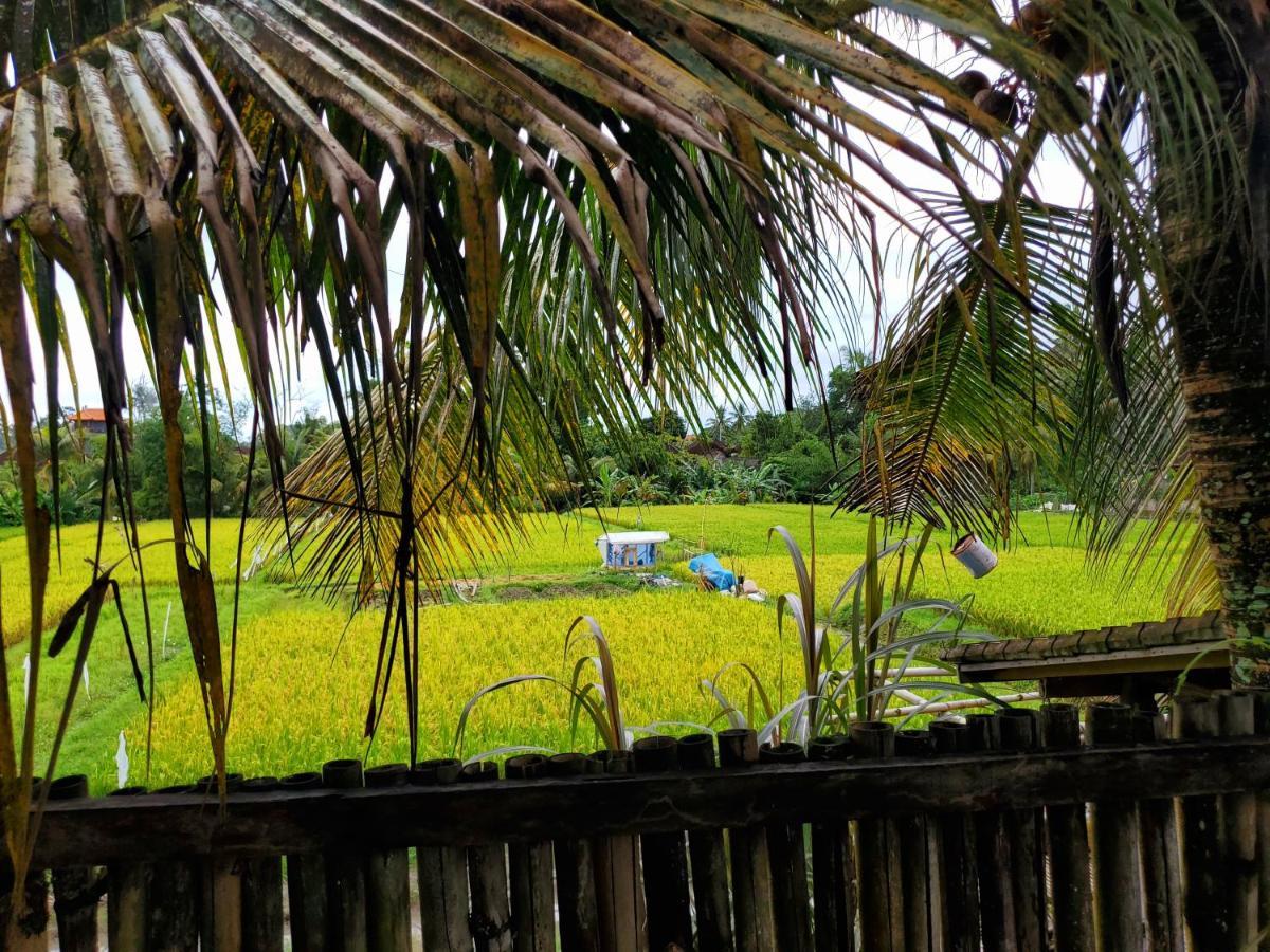 Kakau Villa 2 - Ubud Kültér fotó